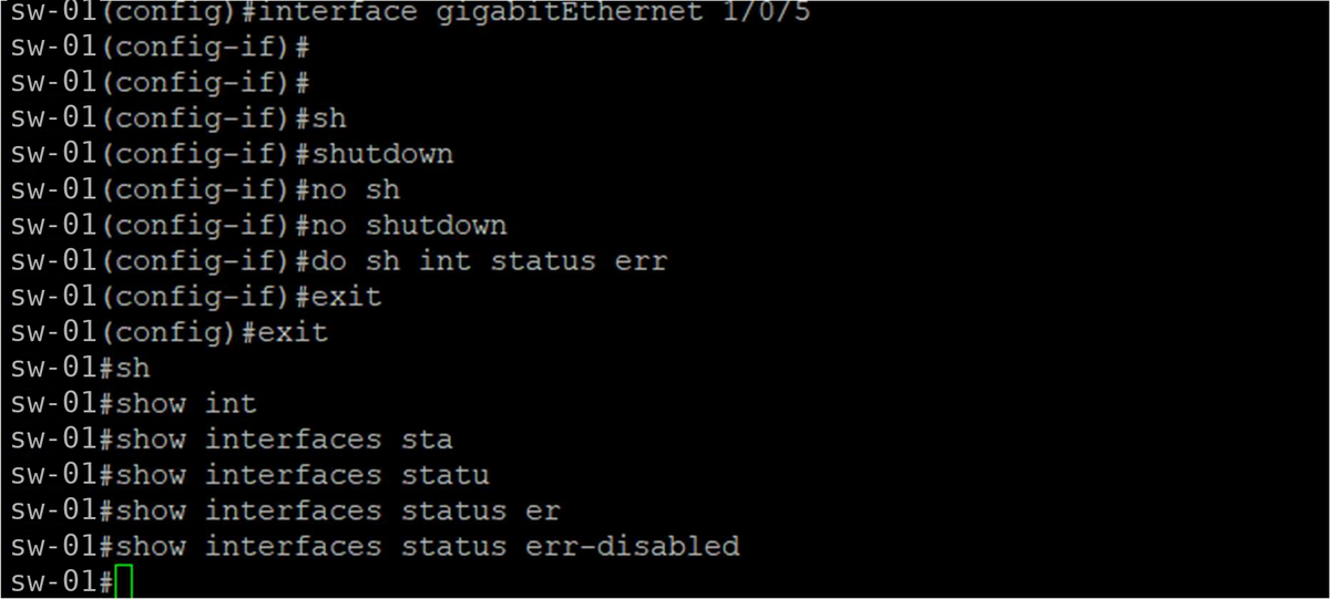 shutdown / no shutdown ile portun geri açılması